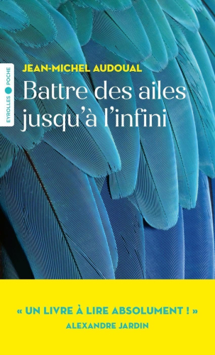 Battre les ailes jusqu'à l'infini cover