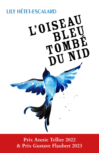 L'Oiseau bleu tombé du nid cover couverture avec un oiseau éditions librinova chronique littéraire auto-édition avis résumé photo image